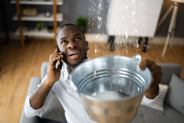 Best Ceiling water damage repair  in East Farmingdale, NY