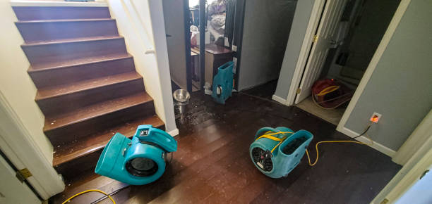 Best Water damage mitigation services  in East Farmingdale, NY