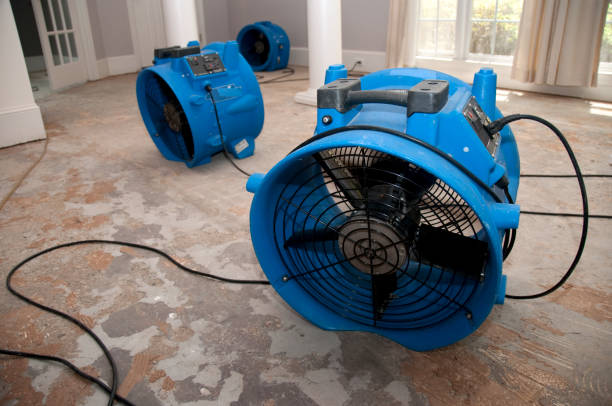 Best Fire Damage Restoration  in East Farmingdale, NY