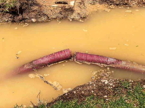 Best 24/7 water damage repair  in East Farmingdale, NY